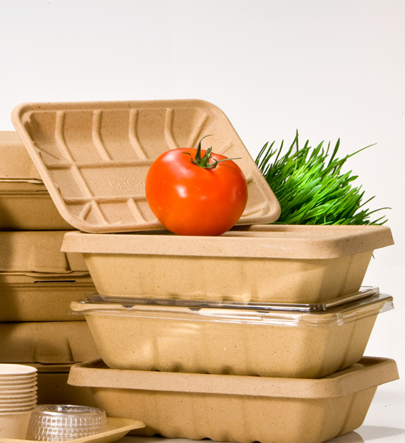 momo et les prostituées